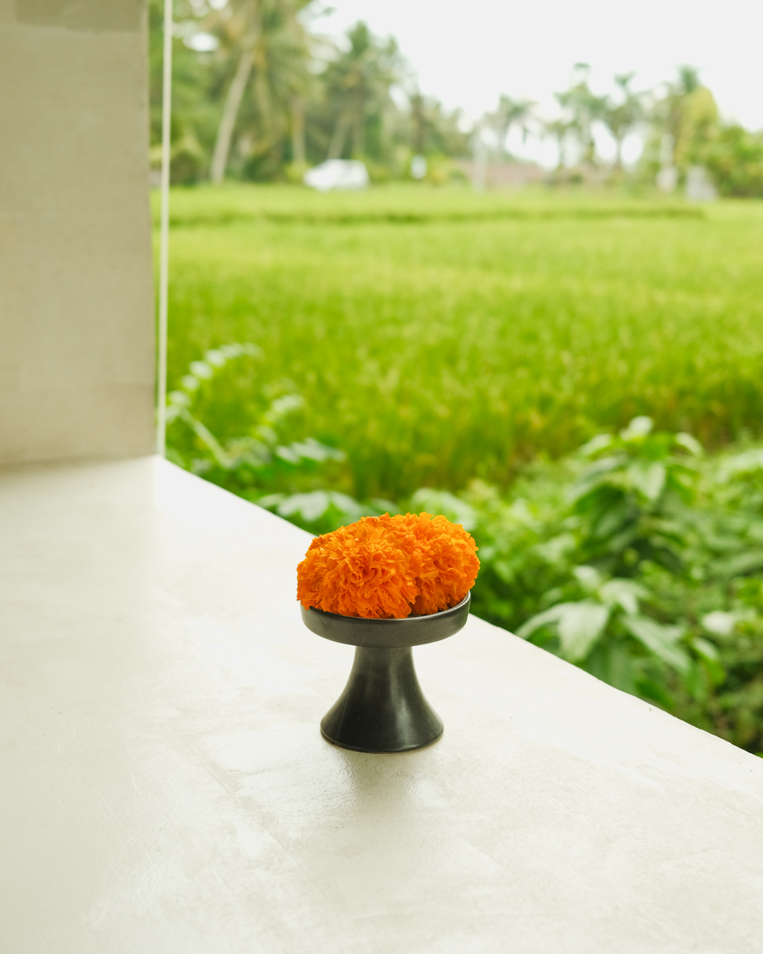 Orange flowers on a table with tropical greenery