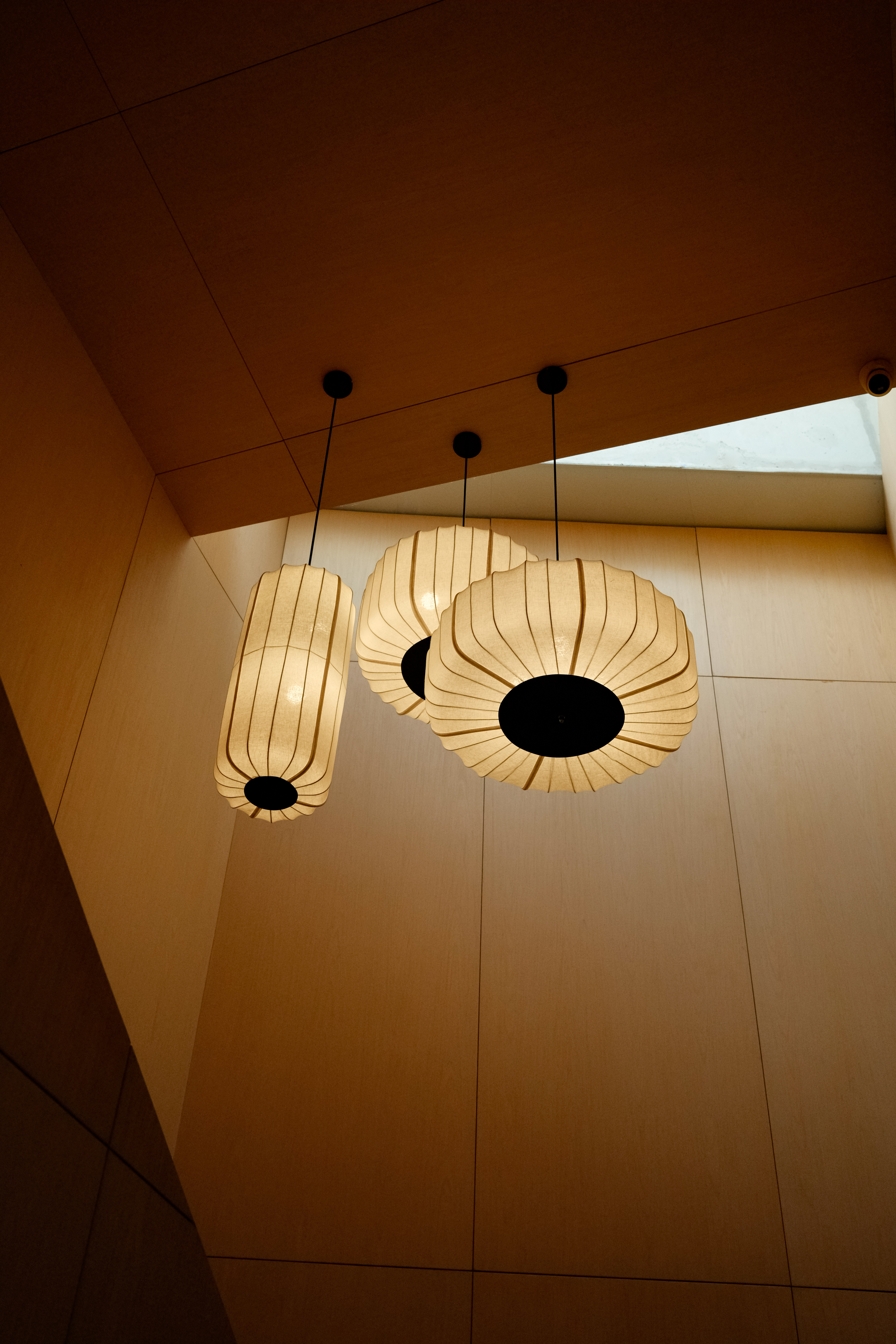 Architectural ceiling lights